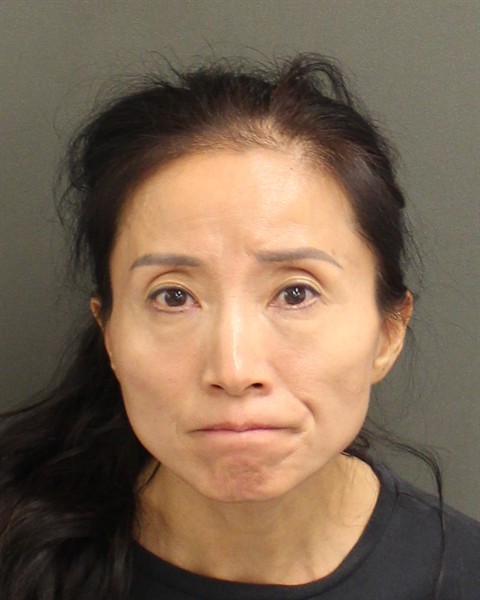  HAIQING LIU Mugshot / County Arrests / Orange County Arrests