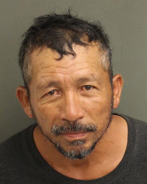  JOSE OCHOA SALVADOR Mugshot / County Arrests / Orange County Arrests
