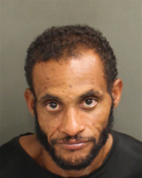  SEBATIAN LUIS FERNANDEZ Mugshot / County Arrests / Orange County Arrests