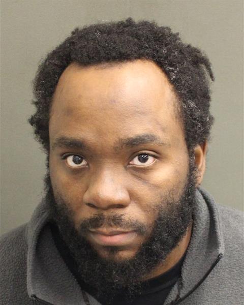  HAROLD ANTHONY IV BRAY Mugshot / County Arrests / Orange County Arrests