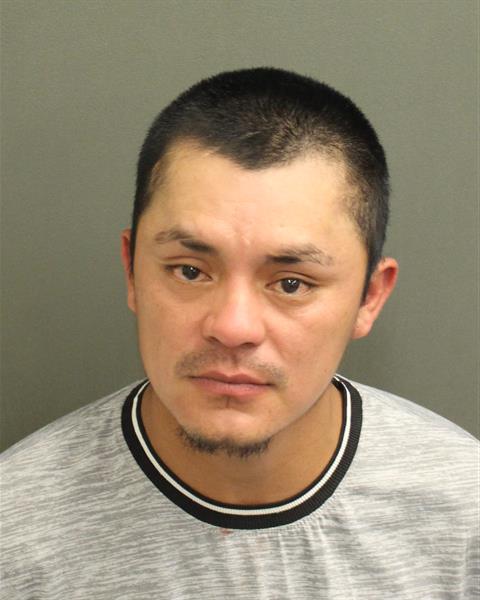  AMILCAR ARRECISBARRIOS Mugshot / County Arrests / Orange County Arrests
