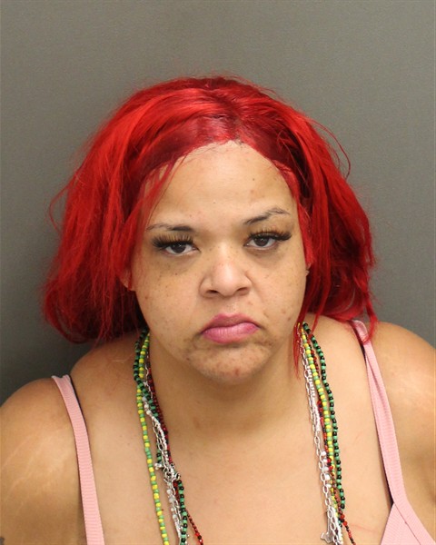  VANESSA DIANNE IRBY Photo Image