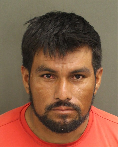  JUSTO ARAUJOARAUJO Photo Image