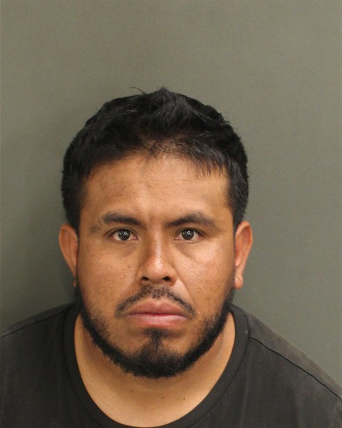  SANTIAGO PELCASTREPACHECO Mugshot / County Arrests / Orange County Arrests