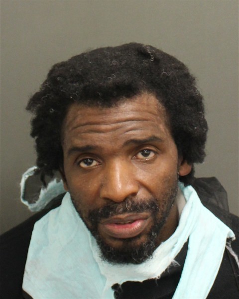  PHILIPPE BELLREESE FRANCILLON Mugshot / County Arrests / Orange County Arrests