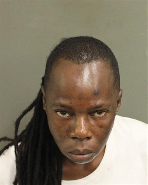  MARY YVES LUCATE Mugshot / County Arrests / Orange County Arrests