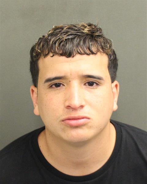  ROBINSON ALEJANDRO HIDALGO Mugshot / County Arrests / Orange County Arrests