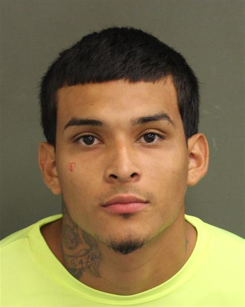  DAMIAN PAZ Photo Image