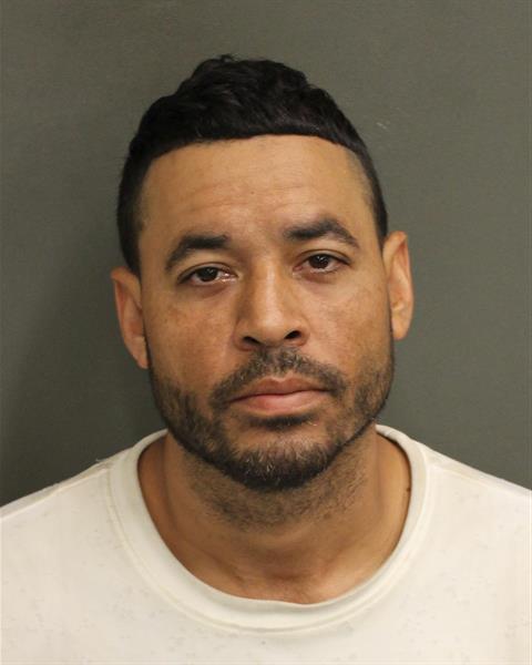  VASILIOS JORGE MILA Mugshot / County Arrests / Orange County Arrests