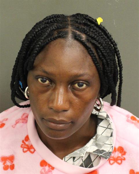 MINOUCHE SAINTEYANT Mugshot MINOUCHE SAINTEYANT Mugshot / County Arrests / Orange County Arrests