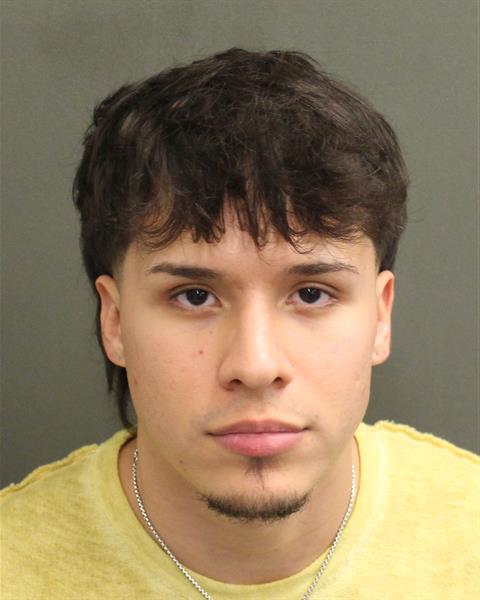  CARLOS RENE DIAZ Mugshot / County Arrests / Orange County Arrests