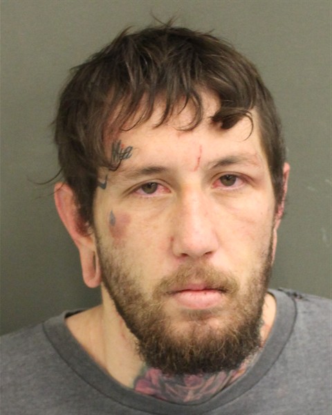 MICHAEL PATRICK LANDIN Mugshot MICHAEL PATRICK LANDIN Mugshot / County Arrests / Orange County Arrests