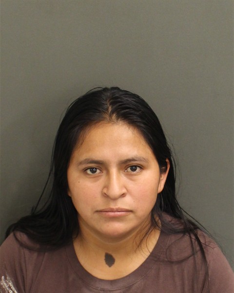 ANA CATALINA LOPEZMENDEZ Mugshot ANA CATALINA LOPEZMENDEZ Mugshot / County Arrests / Orange County Arrests