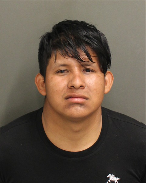 DIEGO ALEJANDRO PEREZNOLASCO Mugshot DIEGO ALEJANDRO PEREZNOLASCO Mugshot / County Arrests / Orange County Arrests