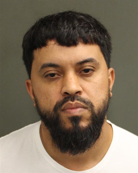 MICHAEL JR BRISTOL Mugshot MICHAEL JR BRISTOL Mugshot / County Arrests / Orange County Arrests