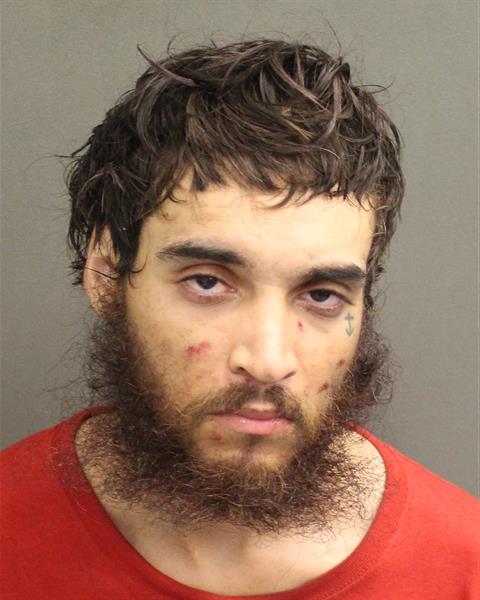LOUIS ANTHONY ORTIZ Mugshot LOUIS ANTHONY ORTIZ Mugshot / County Arrests / Orange County Arrests