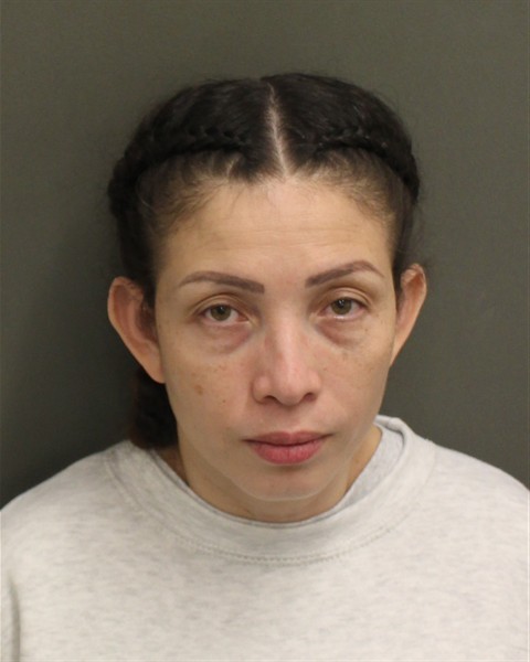 LESLIE BORJASCOLINDRES Mugshot LESLIE BORJASCOLINDRES Mugshot / County Arrests / Orange County Arrests