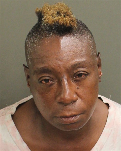 DENISE LENITTE STURGIS Mugshot DENISE LENITTE STURGIS Mugshot / County Arrests / Orange County Arrests