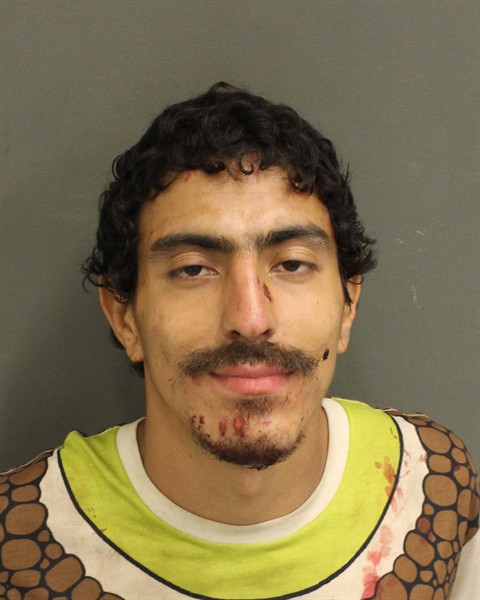  IVAN ESTEBAN ARIASMONTES Mugshot / County Arrests / Orange County Arrests