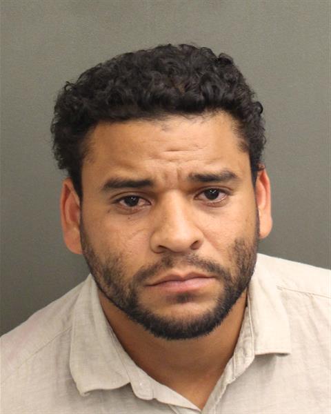  ELVIS JOSE VEGARANGEL Mugshot / County Arrests / Orange County Arrests