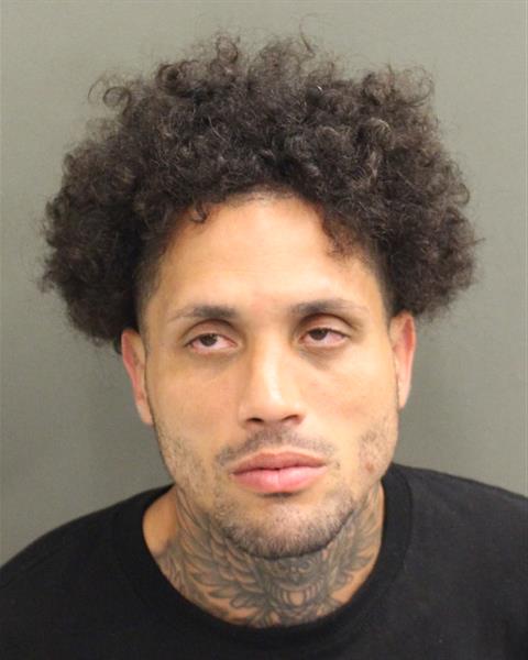  JESUS MIGUEL REYESCARTAGENA Mugshot / County Arrests / Orange County Arrests