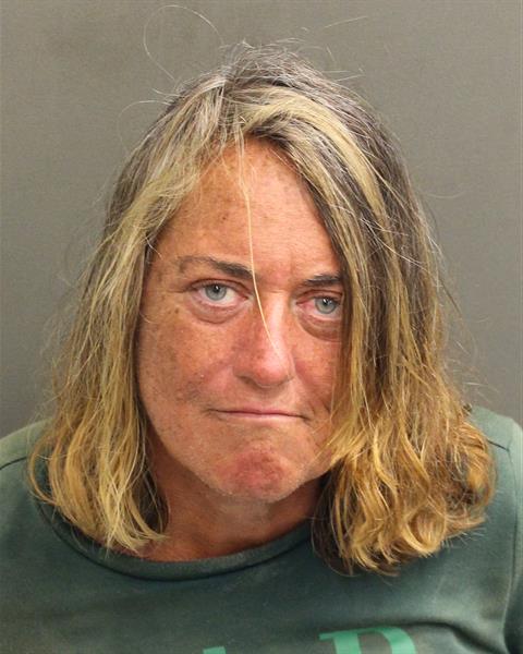  SANDRA LYNN PORTER Mugshot / County Arrests / Orange County Arrests