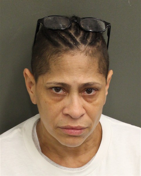  LILIANA FALCON Mugshot / County Arrests / Orange County Arrests