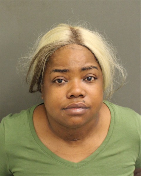  RODINA PIERRE DOMOND Mugshot / County Arrests / Orange County Arrests
