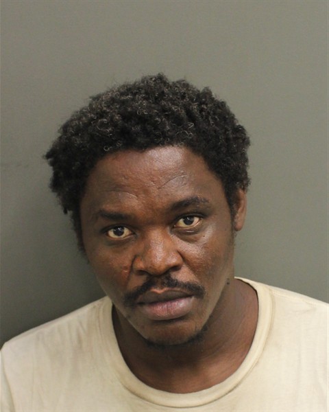  ANEL EMILE Mugshot / County Arrests / Orange County Arrests