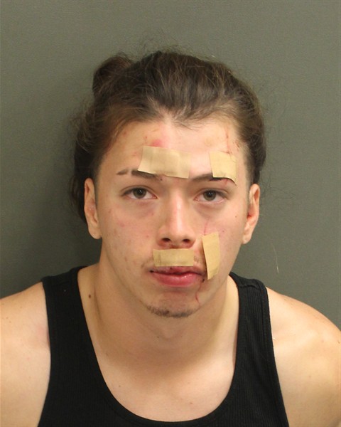  JUAN SEBASTIAN PEREZ Mugshot / County Arrests / Orange County Arrests