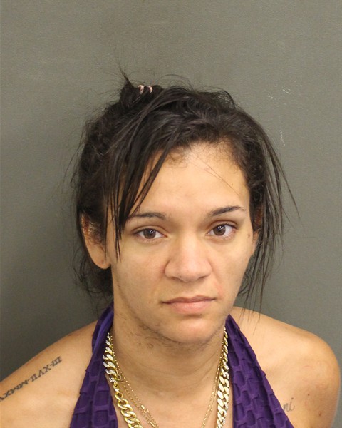  STEPHANIE LA RAINE WRIGHT Mugshot / County Arrests / Orange County Arrests