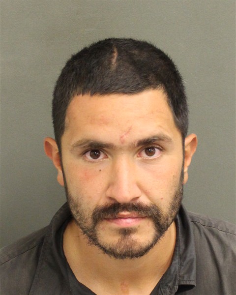  RICARDO CHANG Mugshot / County Arrests / Orange County Arrests