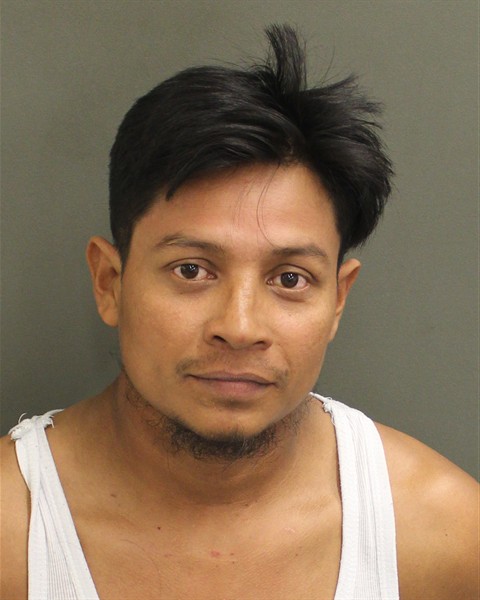  DEYBIN ARIEL MARTINEZMEJIA Mugshot / County Arrests / Orange County Arrests