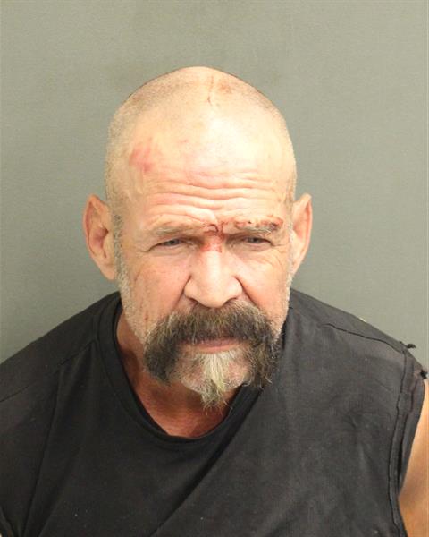  JAMES WILLIAM RALSTON Mugshot / County Arrests / Orange County Arrests