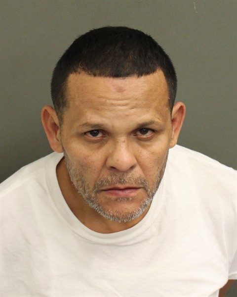  LUIS ENRIQUE TORRESVEGA Mugshot / County Arrests / Orange County Arrests
