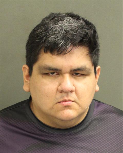  DIEGO JOEL SALCEDO Mugshot / County Arrests / Orange County Arrests