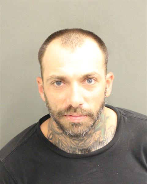  RICHARD WILLIAM JR MILLS Mugshot / County Arrests / Orange County Arrests