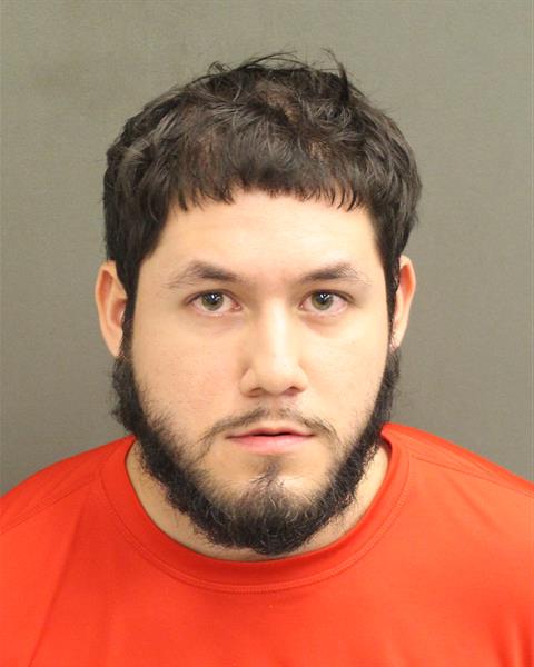  SEBASTIAN DAVID HOYOS Mugshot / County Arrests / Orange County Arrests