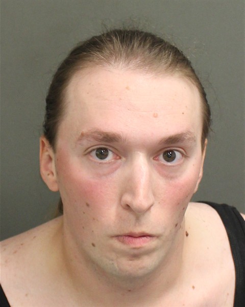  RYAN CHASE BRONSON Mugshot / County Arrests / Orange County Arrests