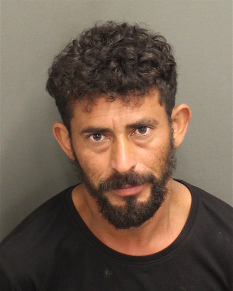 JENI JAVIER PADILLACASTANEDA Mugshot / County Arrests / Orange County Arrests