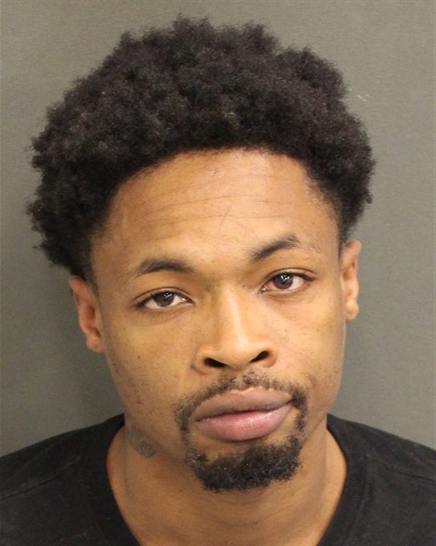  DIOGENES MILLENNIUM HARRY Mugshot / County Arrests / Orange County Arrests