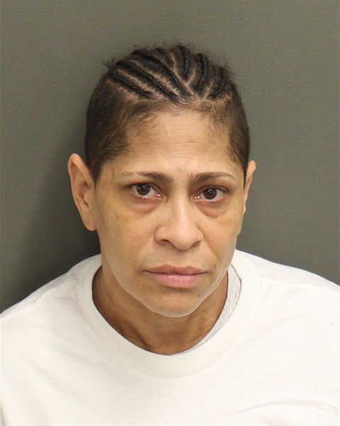  LILIAN FALCON Mugshot / County Arrests / Orange County Arrests