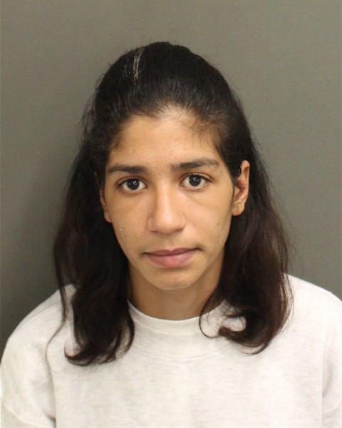  YENIFER LABRADAPELEGRIN Mugshot / County Arrests / Orange County Arrests