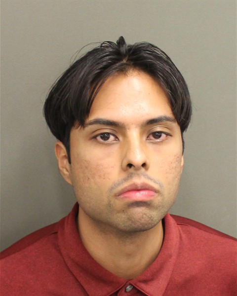 LESTER ENRIQUE ZELAYA Mugshot / County Arrests / Orange County Arrests