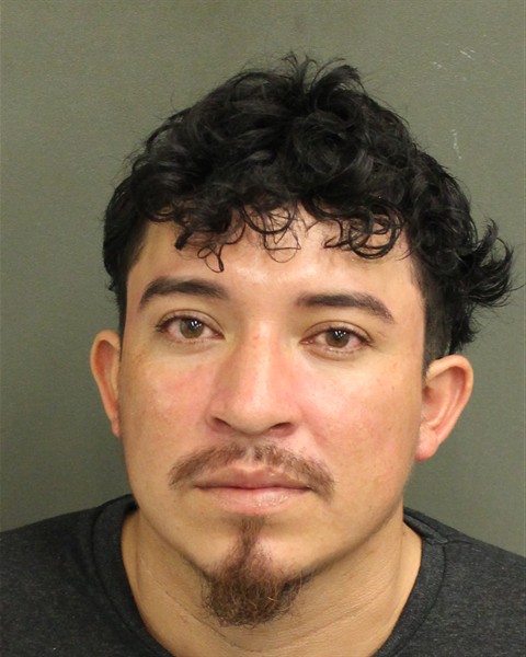  HENRY ORLANDO RAMIREZRAMIREZ Mugshot / County Arrests / Orange County Arrests