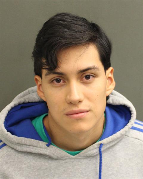  NICOLAS IDROBOGARCES Photo Image