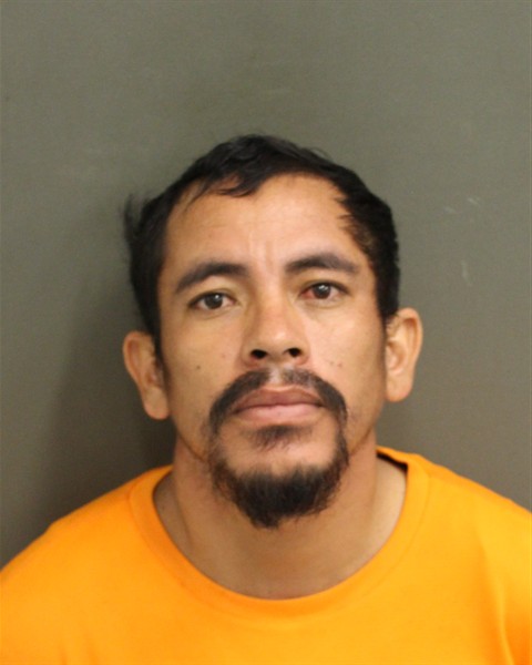  AVELINO VIVIESCASRAMIREZ Mugshot / County Arrests / Orange County Arrests