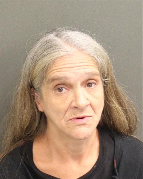  LISA ANNE CICHY Mugshot / County Arrests / Orange County Arrests