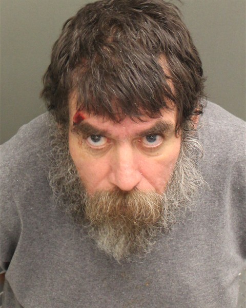  VICTOR GRANT SALICHS Mugshot / County Arrests / Orange County Arrests