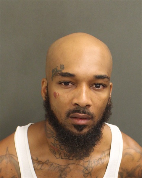  DAVID MARQUISE WILLIAMS Photo Image